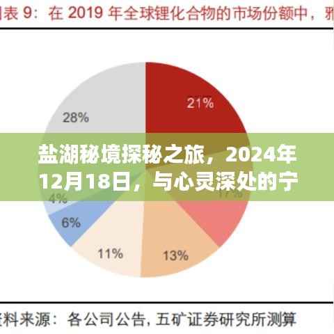 盐湖秘境探秘之旅,心灵深处的宁静相遇(日期标注版)