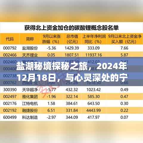 盐湖秘境探秘之旅,心灵深处的宁静相遇(日期标注版)