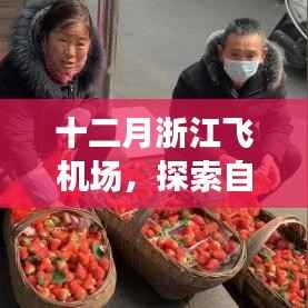 十二月浙江飞机场之旅,探寻自然美景,寻觅内心宁静与和谐