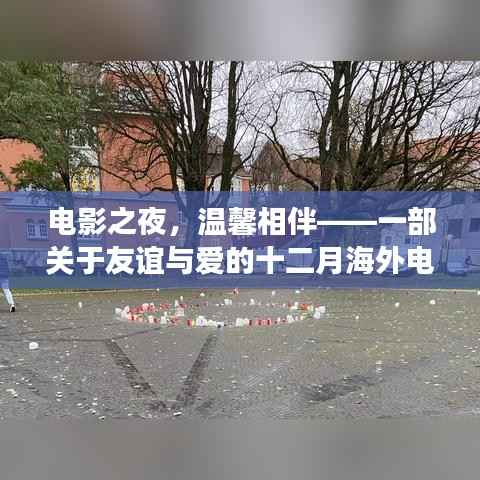 电影之夜,友谊与爱的温馨日常故事