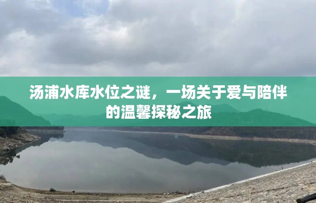 汤浦水库水位之谜,爱与陪伴的温馨探秘之旅