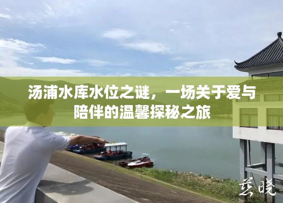 汤浦水库水位之谜,爱与陪伴的温馨探秘之旅