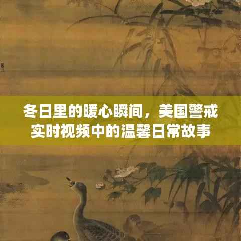 冬日暖心瞬间,美国警戒实时视频里的日常温馨故事
