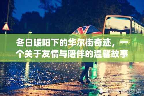 华尔街奇迹,冬日暖阳下的友情与陪伴之道