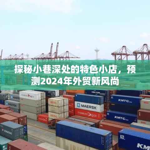 探秘小巷深处的特色小店,揭示未来外贸新风尚的预测与展望(2024年)