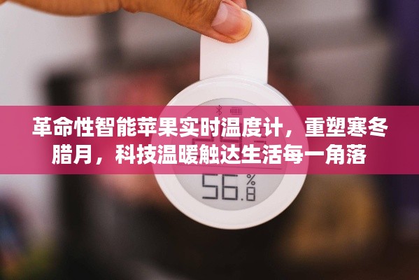 革命性智能苹果实时温度计,科技温暖,寒冬中的生活新宠