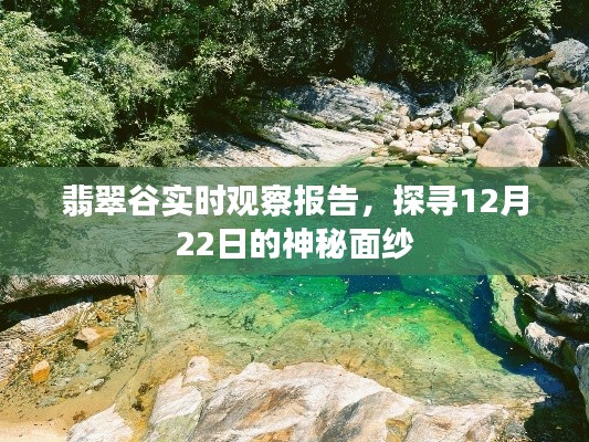 翡翠谷实时观察报告揭秘,探寻神秘面纱下的12月22日