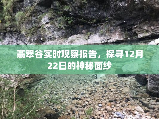 翡翠谷实时观察报告揭秘,探寻神秘面纱下的12月22日
