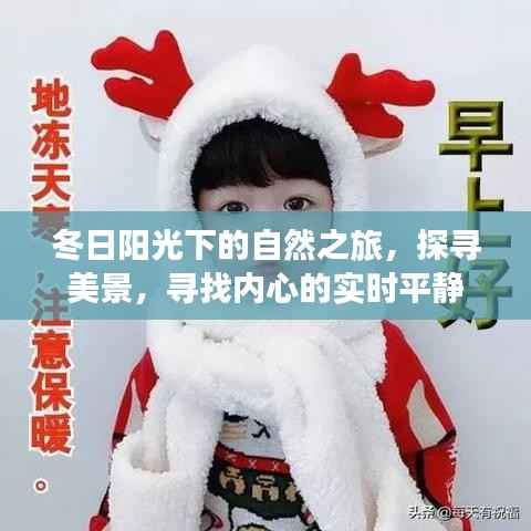 冬日暖阳下的自然探索,寻美景与内心平静的旅程