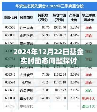 基金实时动态探讨,聚焦2024年12月22日最新动态