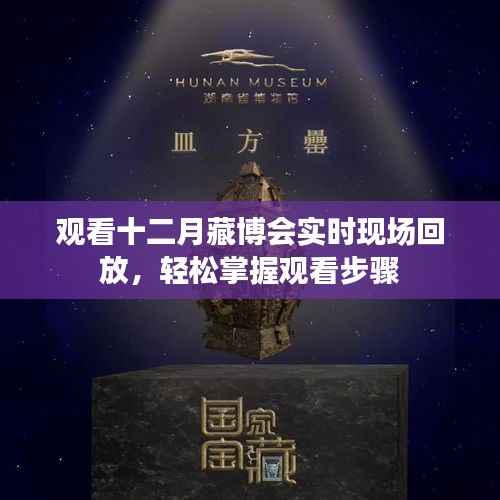 十二月藏博会实时现场回放观看指南