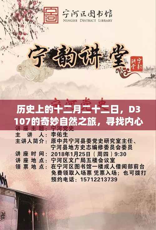 D3107的十二月二十二日自然之旅,探寻内心宁静与平和的奇妙之旅