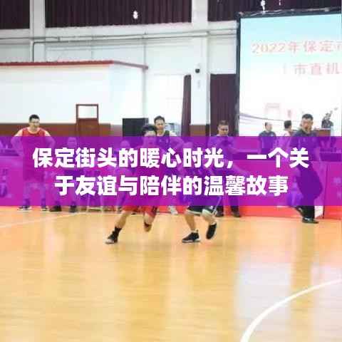 保定街头的暖心时光,友谊与陪伴的温馨篇章