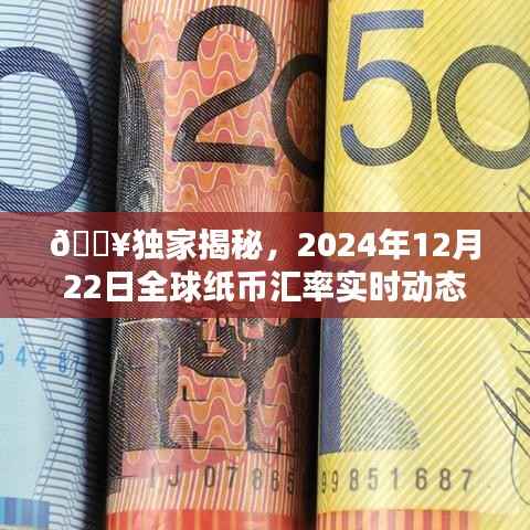 独家揭秘,全球纸币汇率实时动态(2024年12月22日)