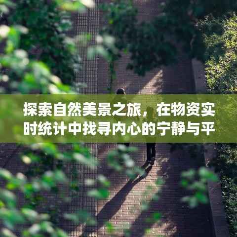 物资实时统计下的自然美景探索之旅,内心的宁静与平和之寻