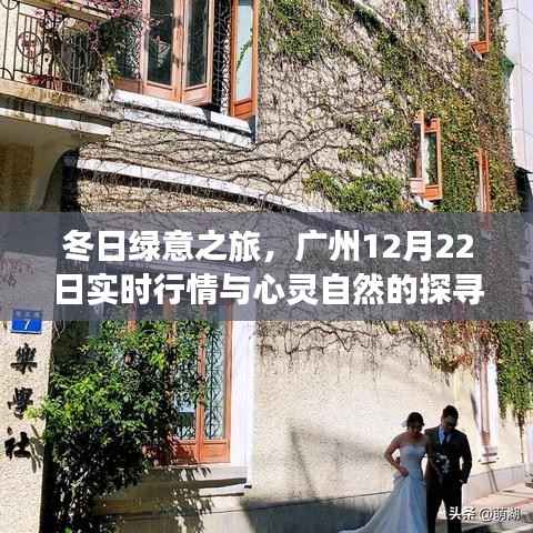 广州冬日绿意之旅,实时行情与自然心灵的探寻(12月22日)