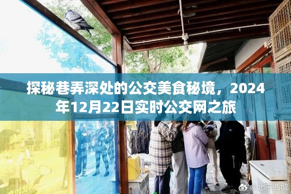 探秘巷弄深处的公交美食秘境,实时公交网之旅,带你探寻美食与交通的完美结合(2024年12月22日)
