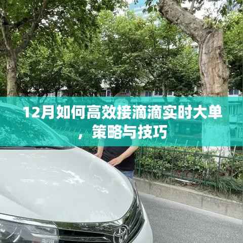 12月高效接滴滴实时大单策略与技巧全解析