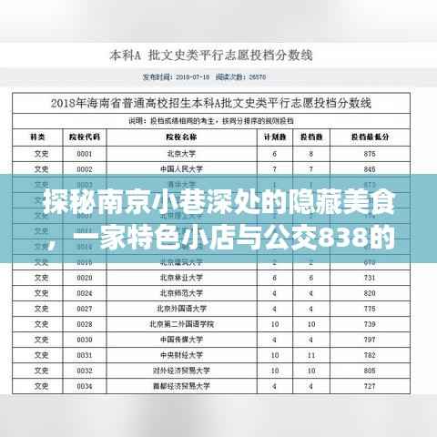 南京小巷美食探秘,公交838与特色小店的奇妙邂逅