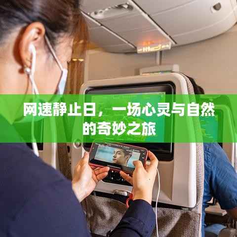 网速静止日的心灵自然之旅