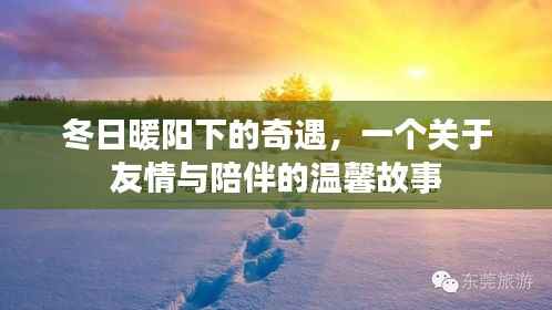 冬日暖阳下的友情奇遇,陪伴与温馨的邂逅