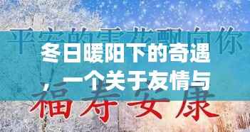 冬日暖阳下的友情奇遇,陪伴与温馨的邂逅