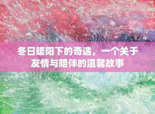 冬日暖阳下的友情奇遇,陪伴与温馨的邂逅