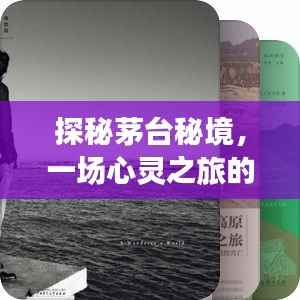 探秘茅台秘境,心灵之旅的呼唤与预测,天猫茅台实时数量揭晓,日期2024年12月22日