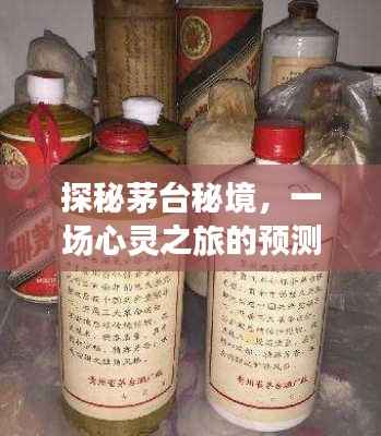 探秘茅台秘境,心灵之旅的呼唤与预测,天猫茅台实时数量揭晓,日期2024年12月22日