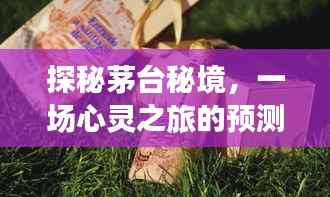 探秘茅台秘境,心灵之旅的呼唤与预测,天猫茅台实时数量揭晓,日期2024年12月22日