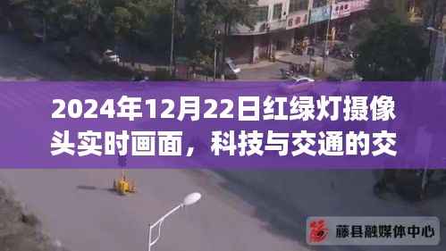科技与交通交融,实时红绿灯摄像头下的观察日记(XXXX年XX月XX日)