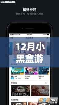 12月小黑盒游戏实时监控解析,掌握游戏监控最新动态