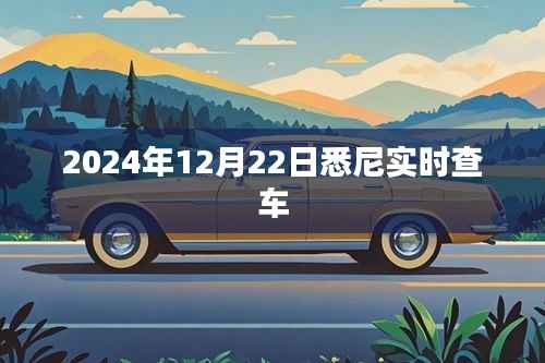 悉尼实时查车系统更新,最新车辆信息尽在掌握