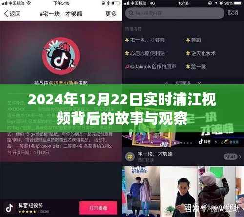 浦江视频背后的故事与观察,深度解读浦江实时动态