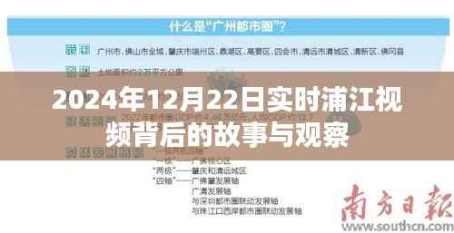 浦江视频背后的故事与观察,深度解读浦江实时动态