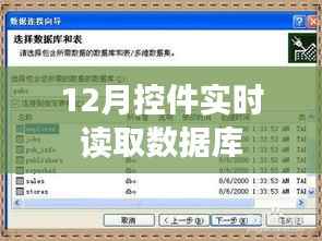 实时数据库读取控件,12月操作指南
