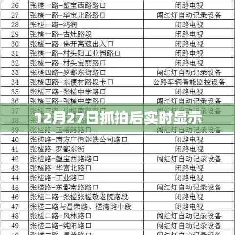 实时抓拍显示系统,捕捉每一刻精彩瞬间