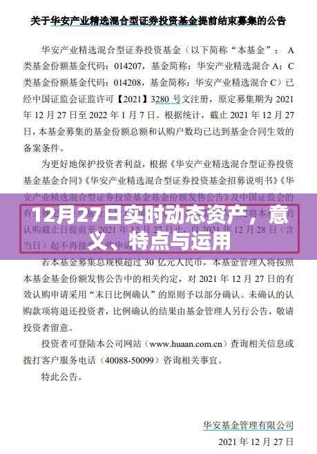 实时动态资产详解,意义、特点及应用解析