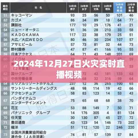 建议,火灾实时直播视频,直击现场,关注救援进展(2024年)