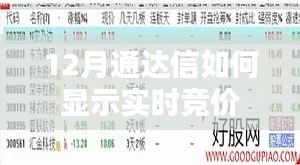 通达信实时竞价显示教程,12月操作指南