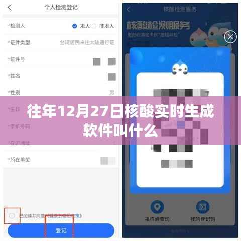 往年12月27日核酸实时生成软件名称揭秘