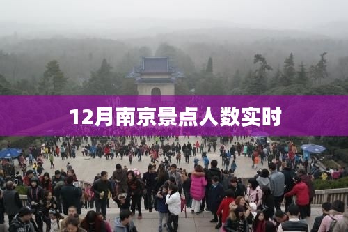 南京景点人数实时统计(冬季版)