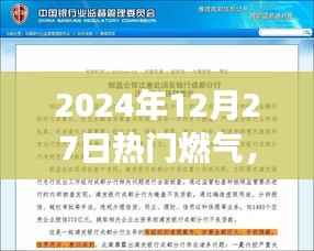 2024年燃气革新展望,可持续发展之路