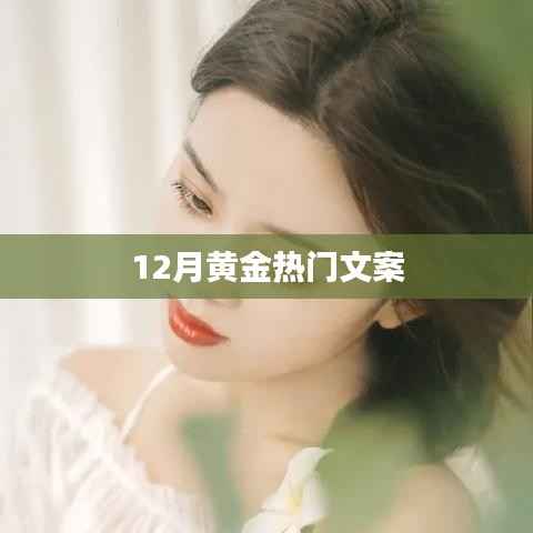 12月黄金文案精选,热门文案大赏