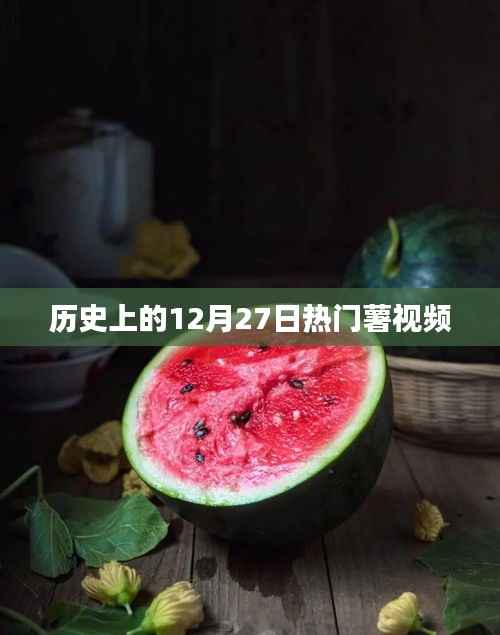 热门薯视频回顾,历史上的十二月二十七日