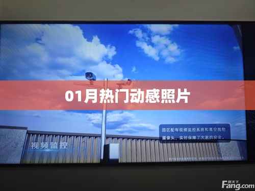 精选动感照片,记录美好瞬间