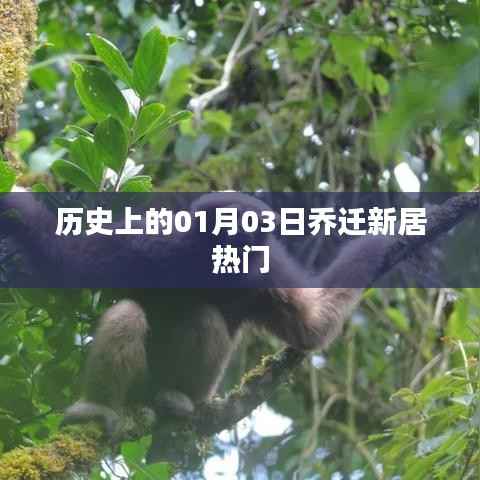 乔迁新居历史热门日期,一月三日回顾与展望