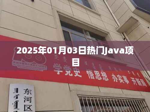 2025年热门Java项目概览