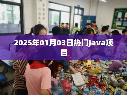 2025年热门Java项目概览