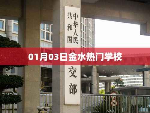 金水热门学校最新资讯,01月03日动态更新